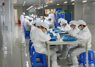 為何電子廠偏愛低學歷員工？揭秘書單不背的多重考量